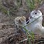 thumbs/IMG_6039.jpg